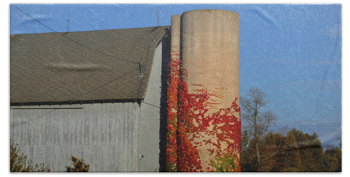 Fall Hand Towel featuring the photograph Painted Silo by Tim Nyberg