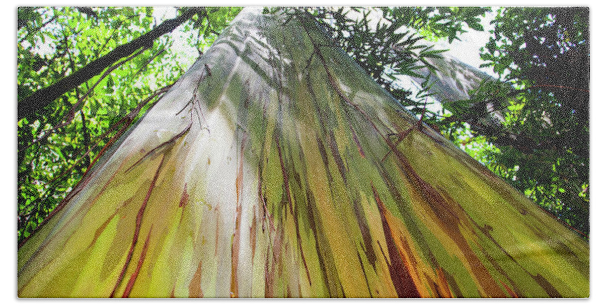 Painted Eucalyptus Tree Bath Towel featuring the photograph Painted Tree by Anthony Jones