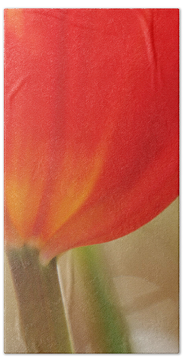 Flowers Hand Towel featuring the photograph Painterly Tulip II by Dorothy Lee
