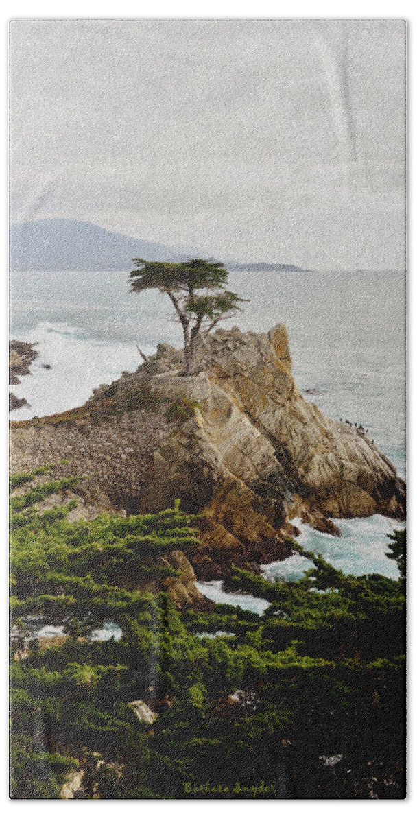 Barbara Snyder Hand Towel featuring the photograph Painting Lone Cypress Monterey by Barbara Snyder