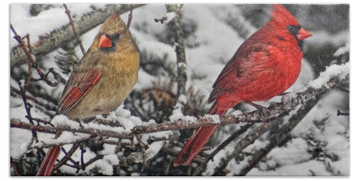 Cardinals Hand Towel featuring the photograph Pair of Cardinals in Winter by Peg Runyan