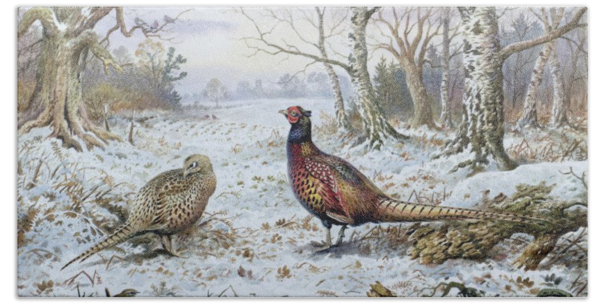Game Bird; Snow; Woodland; Perdrix; Faisan; Troglodyte; Pheasant; Pheasants; Tree; Trees; Bird; Animals Bath Towel featuring the painting Pair of Pheasants with a Wren by Carl Donner