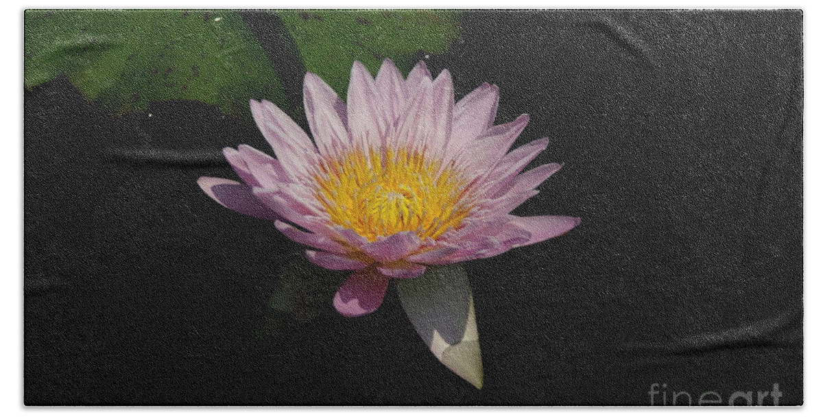 Pale Hand Towel featuring the photograph Pale Purple Lotus Waterlily by Jackie Irwin