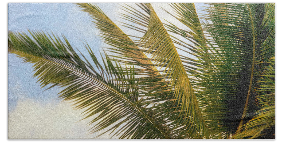 Palm Tree Hand Towel featuring the photograph Palm Branches by Christopher Johnson