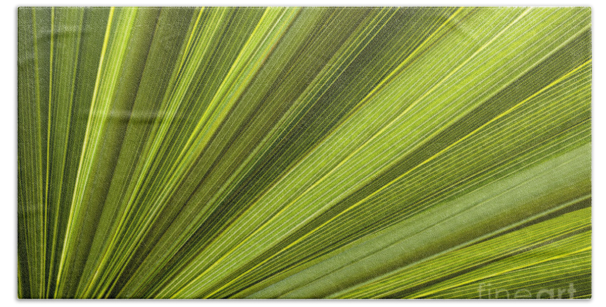 Leaf Bath Towel featuring the photograph Palm leaf abstract by Elena Elisseeva