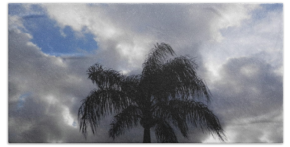 #portrichey #florida #windy #march #morning Blue And #white Sky Bath Towel featuring the photograph Palm Tree Swaying in Wind by Belinda Lee