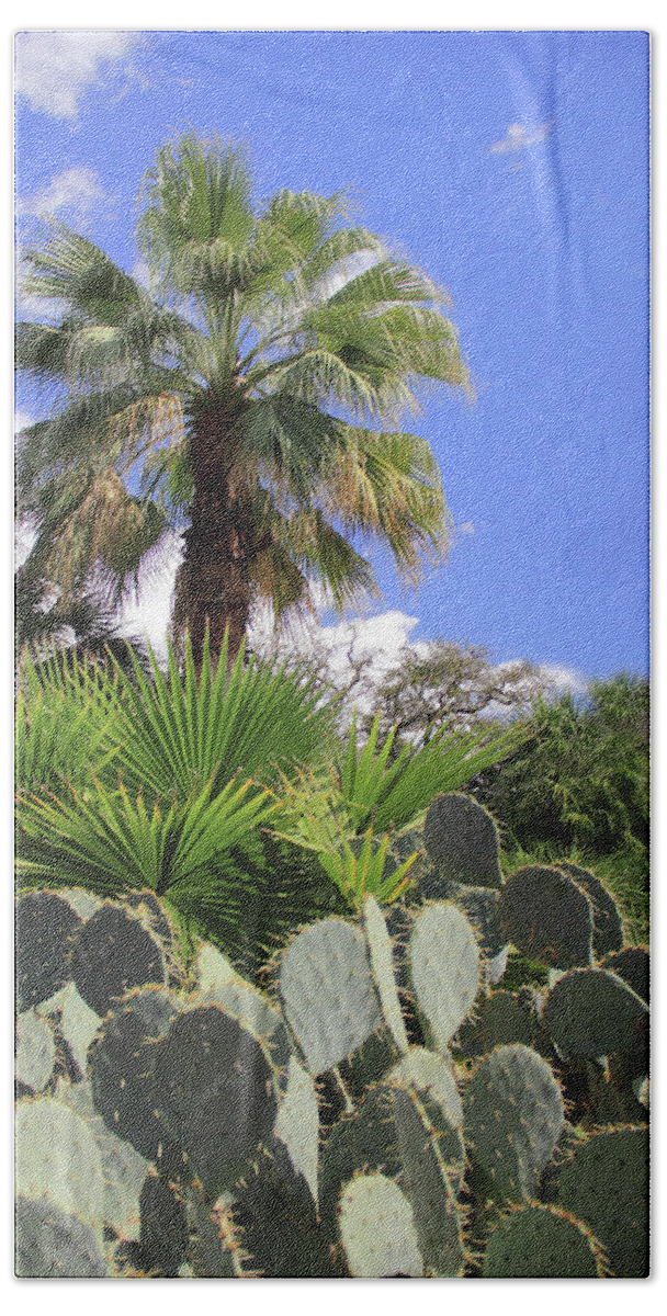 Palm Trees Bath Towel featuring the photograph Palm Trees and Cactus by Angela Murdock