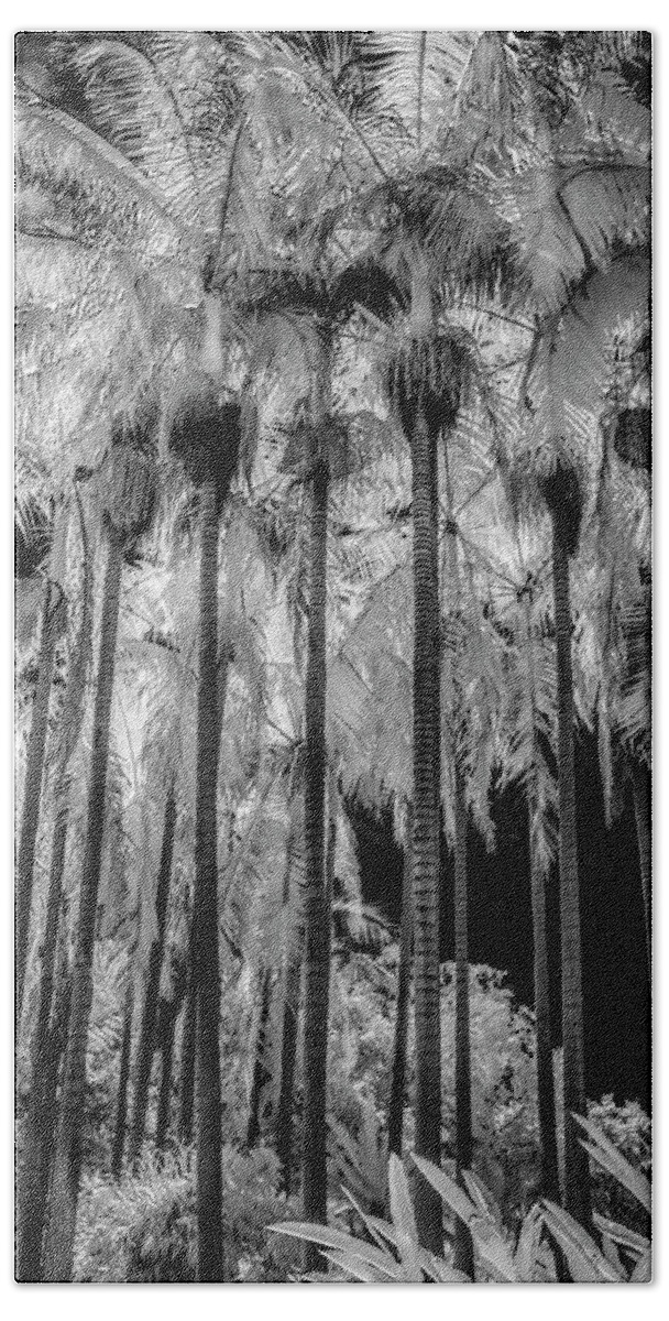 The Huntington Library Bath Towel featuring the photograph Palm Trees at The Huntington Library in Black and White Infrared by Randall Nyhof