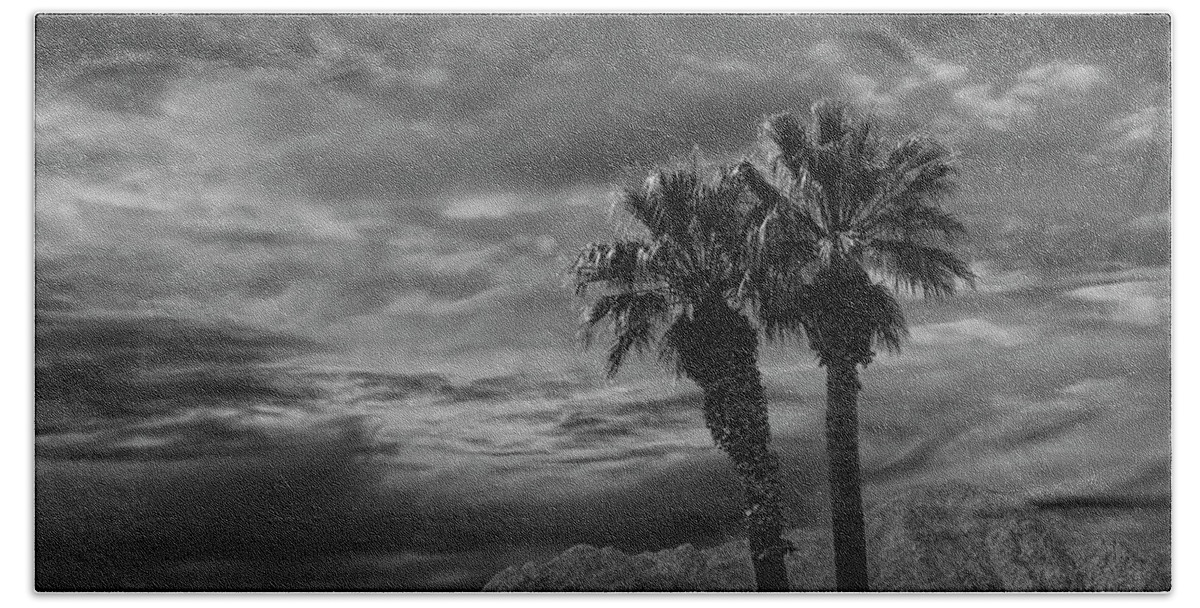 Tree Bath Towel featuring the photograph Palm Trees by Borrego Springs in Black and White by Randall Nyhof
