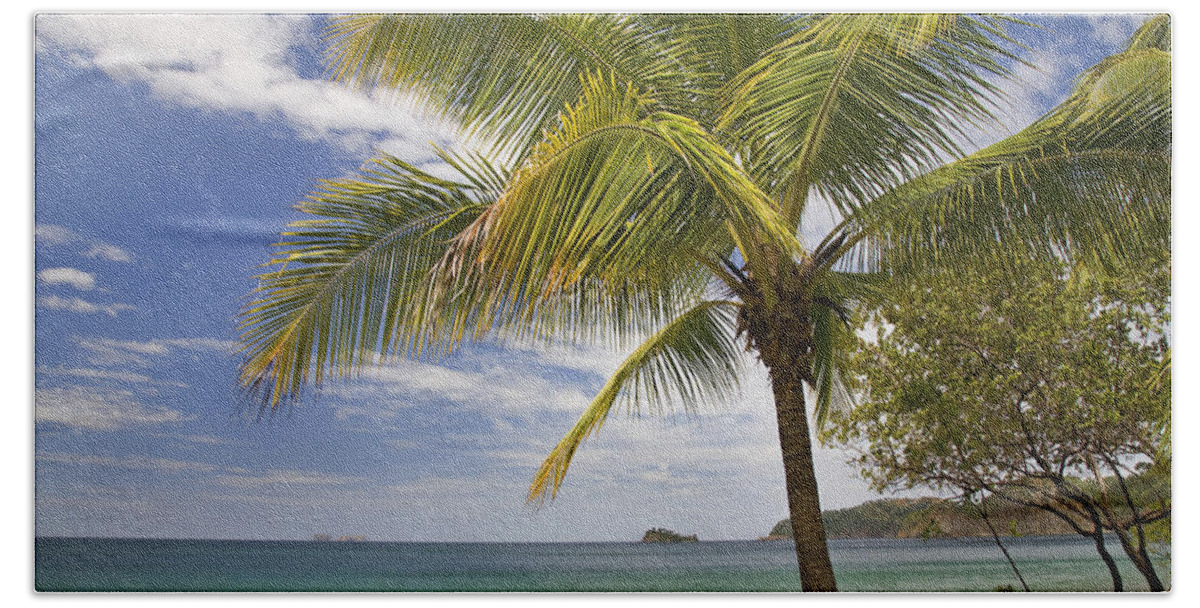 00429557 Bath Towel featuring the photograph Palm Trees Line Penca Beach Costa Rica by Tim Fitzharris