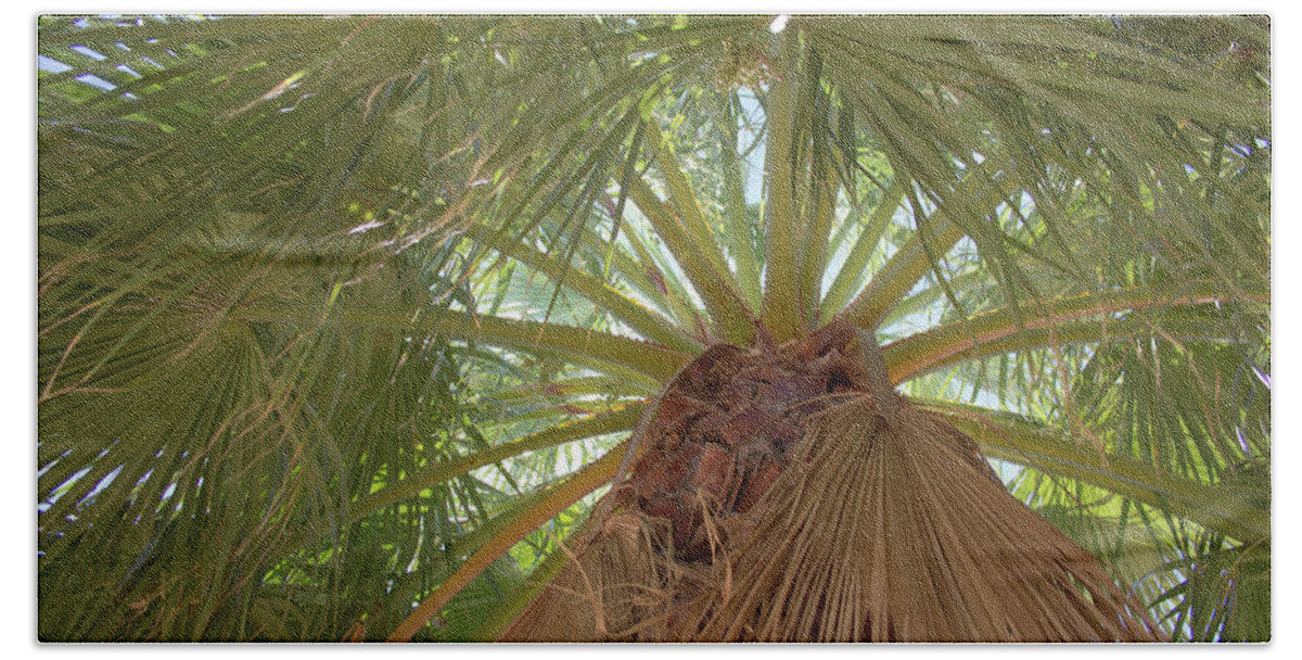 Palm Bath Towel featuring the photograph Palm view by Darrell Foster