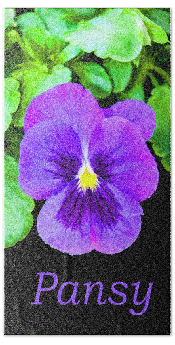 Flower Bath Towel featuring the photograph Pansy by Cathy Kovarik