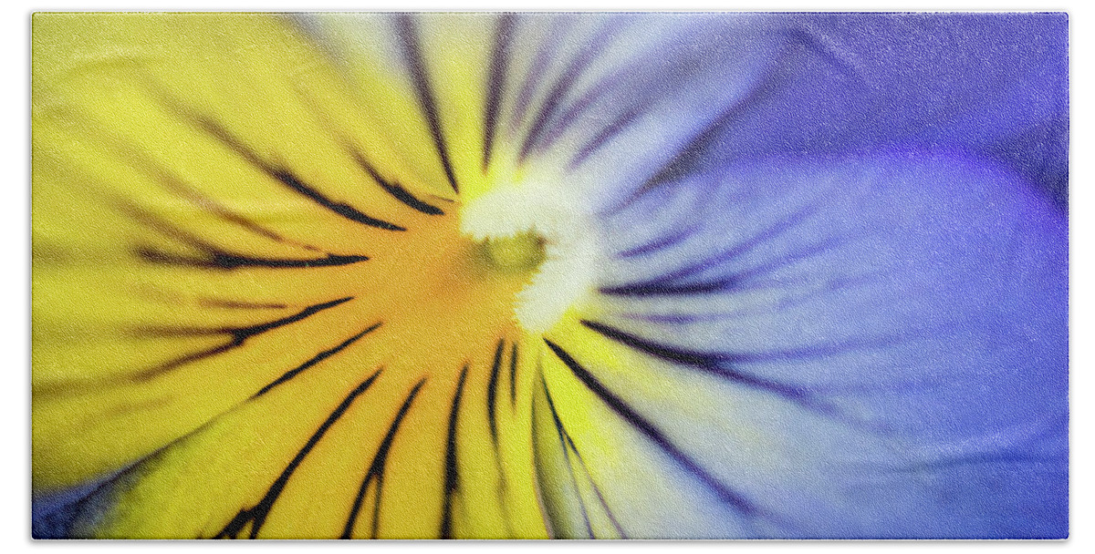 Pansy Bath Towel featuring the photograph Pansy Close-Up by Lisa Blake