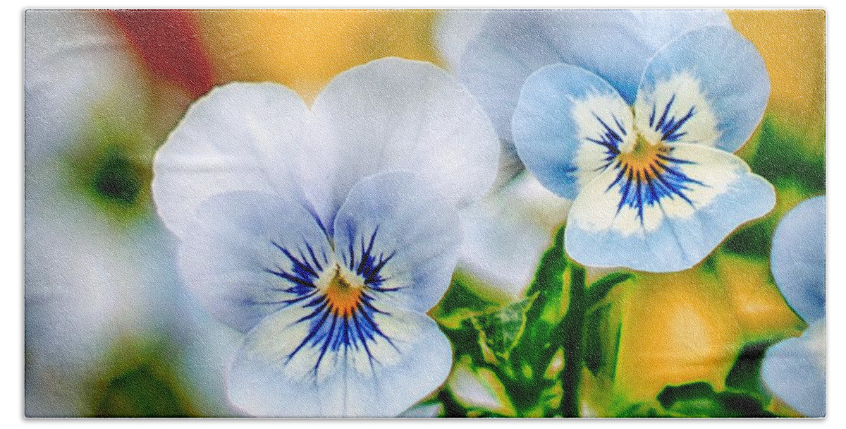 Pansy Bath Towel featuring the photograph Pansy Forest by Ches Black