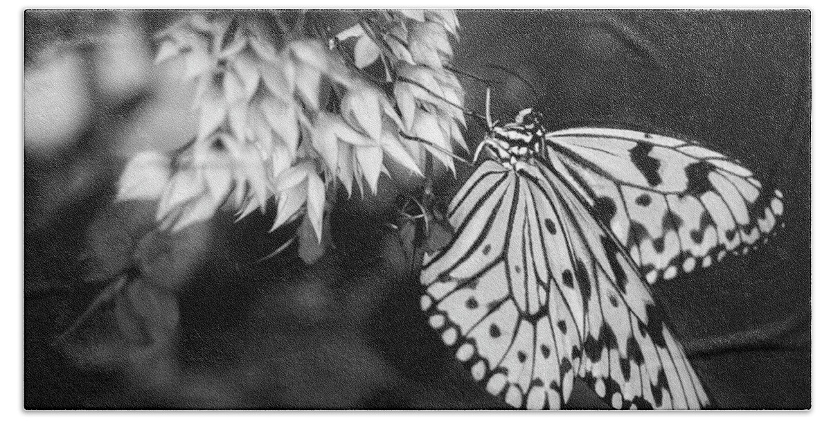 Butterfly Bath Towel featuring the photograph Paper Kite In Black and White by Greg and Chrystal Mimbs