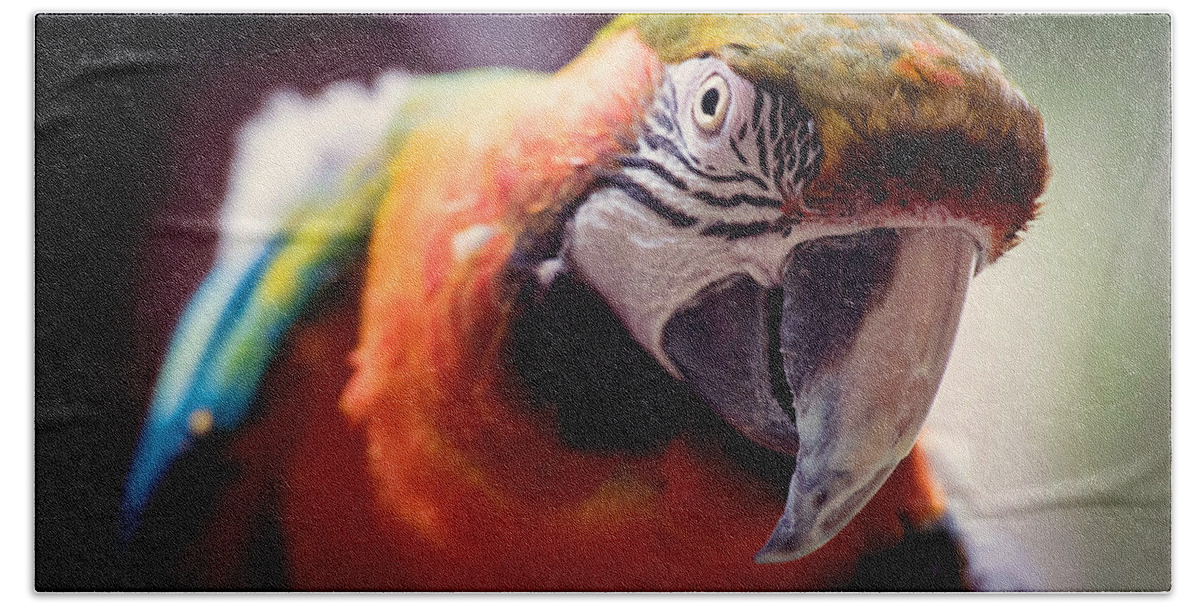 Parrot Hand Towel featuring the photograph Parrot Selfie by Cross Version