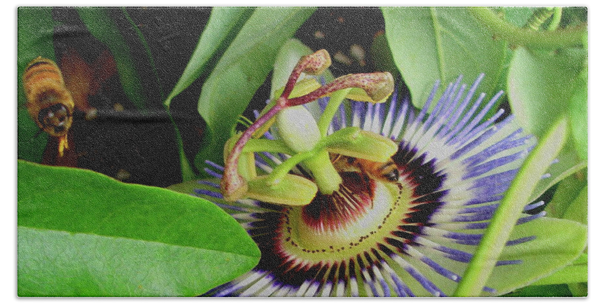 Passion Flower Hand Towel featuring the photograph Passion Flower by Allen Nice-Webb