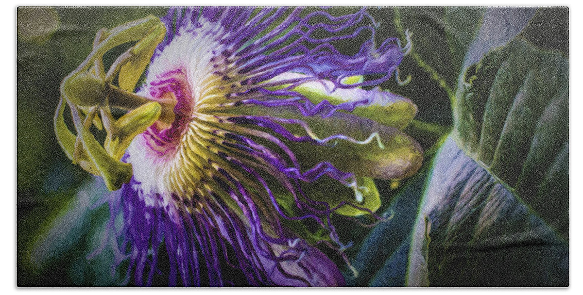 Passion Flower Bath Towel featuring the painting Passion Flower Profile by Barry Jones