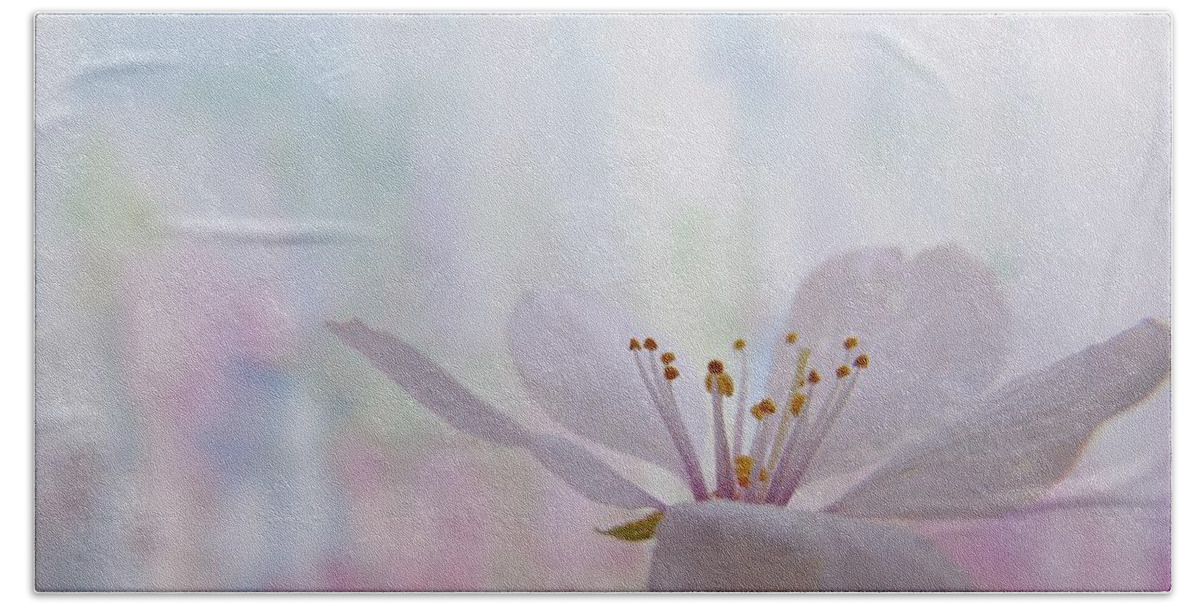 Cherry Bath Towel featuring the photograph Pastel Bloom by Barbara St Jean
