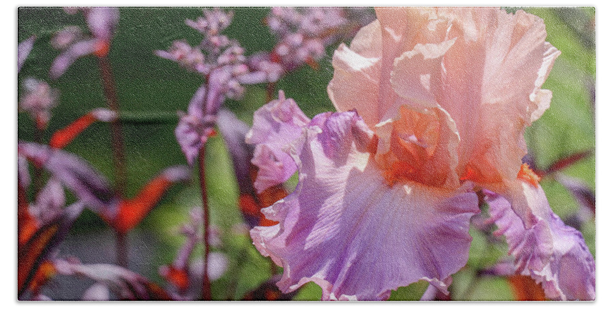 Iris Hand Towel featuring the photograph Pastel Iris by Mary Anne Delgado
