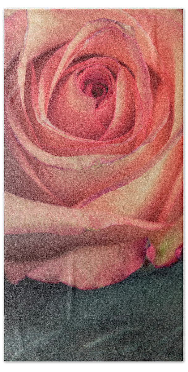 Closeup Bath Towel featuring the photograph Pastel pink rose by Jaroslaw Blaminsky