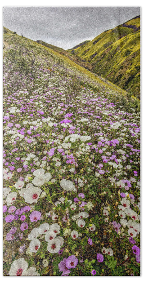Blm Hand Towel featuring the photograph Pastel Super Bloom by Peter Tellone