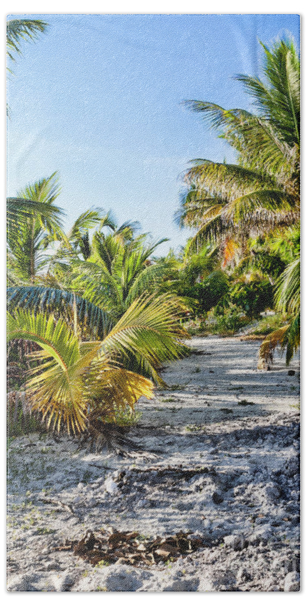 Beach Bath Towel featuring the photograph Path Along the Palms by Lawrence Burry