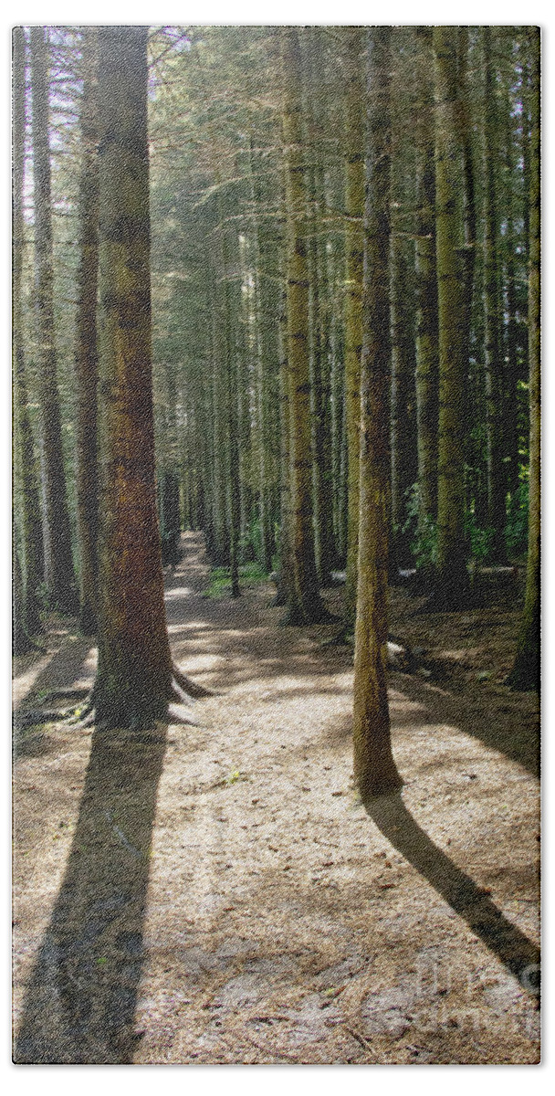 Beecraigs Bath Towel featuring the photograph Path through the woods. by Elena Perelman
