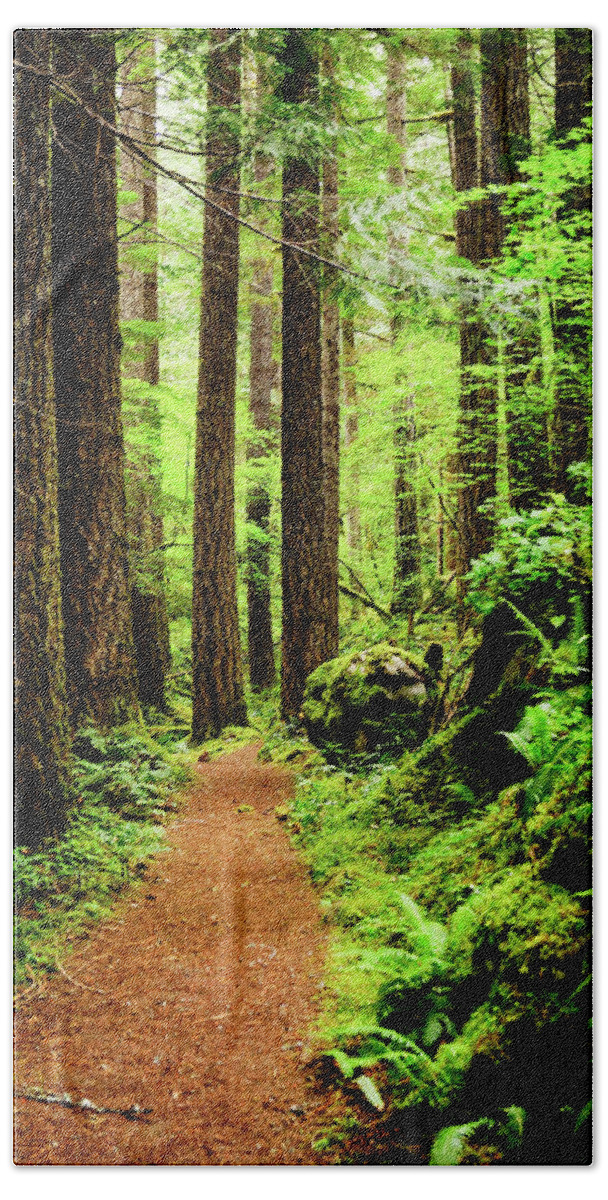 Woods Hand Towel featuring the photograph Path to Peace by Tim Dussault