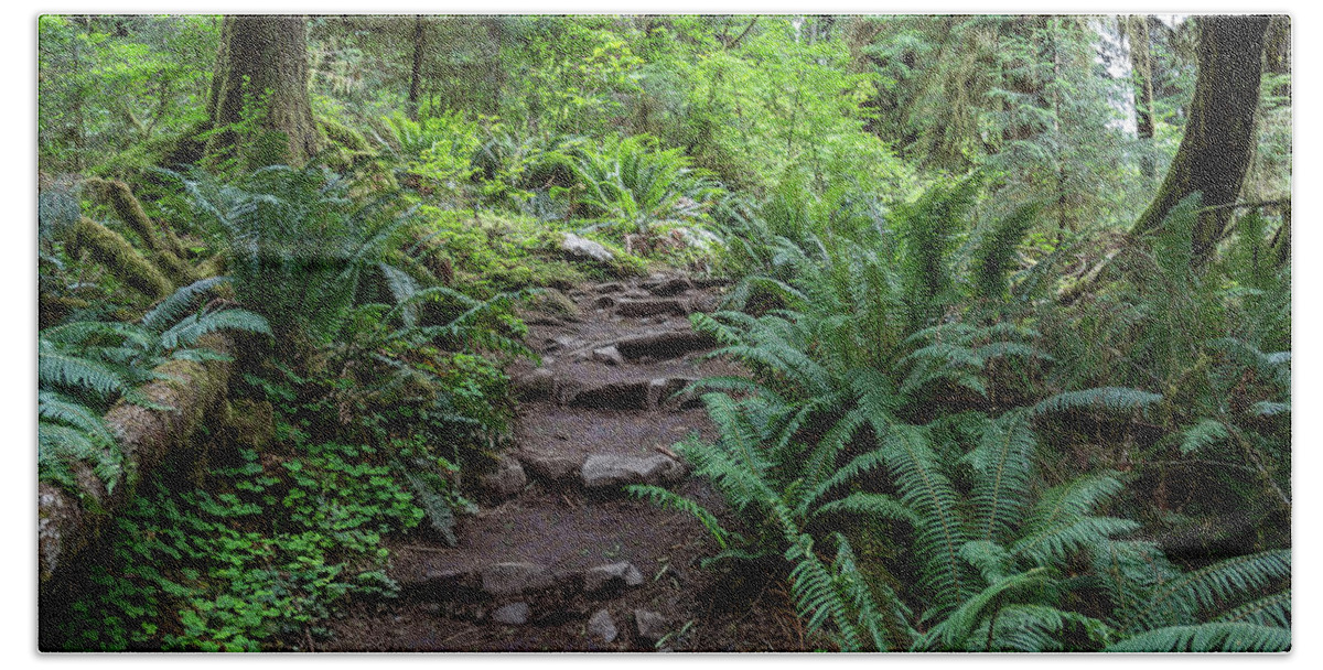 Ferns Hand Towel featuring the photograph Pathway into the Forest by Roslyn Wilkins