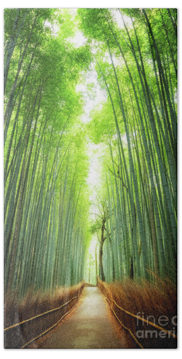 Bamboo Bath Towel featuring the photograph Pathway through the bamboo grove Kyoto by Jane Rix