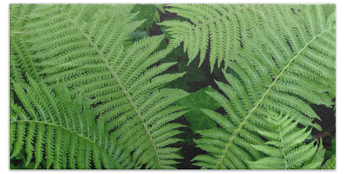 Ferns Bath Towel featuring the photograph Peaceful Places by Ira Shander