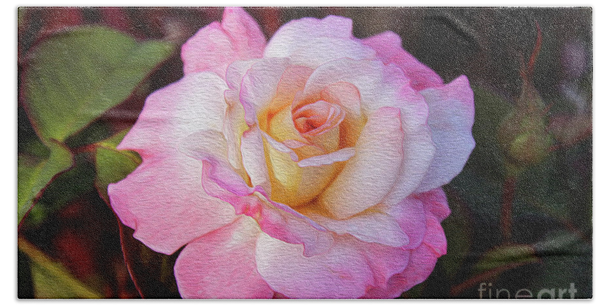 Rose Bath Towel featuring the digital art Peach and White Rose by DB Hayes