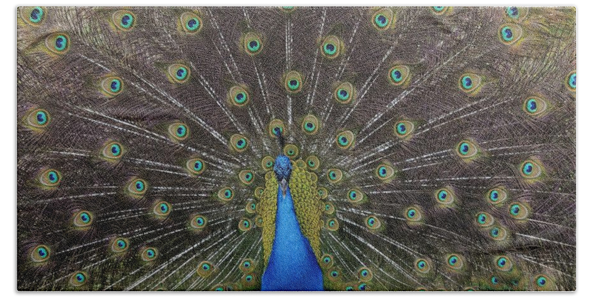Peacock Bath Towel featuring the photograph Peacock Displaying Feathers by Bradford Martin
