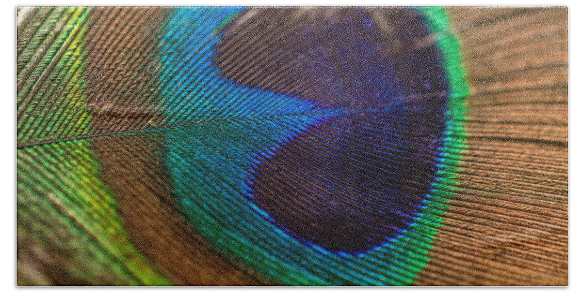 Peacock Hand Towel featuring the photograph Peacock Feather Macro Detail by Amber Flowers