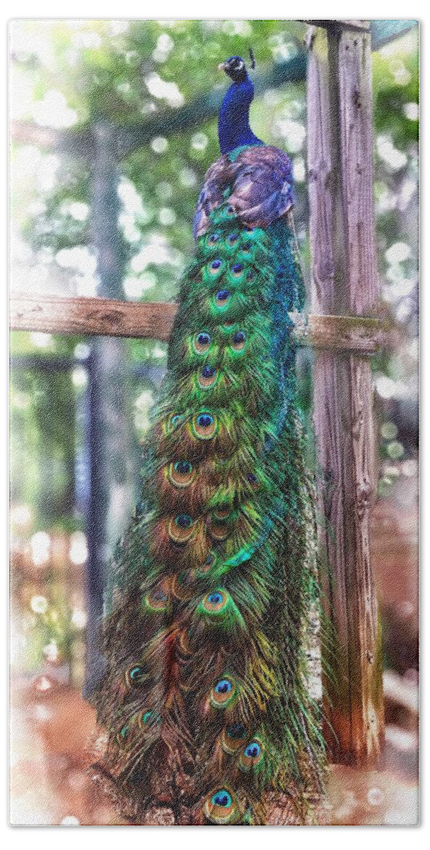 Peacock Hand Towel featuring the photograph Peacock Magic by Doris Aguirre