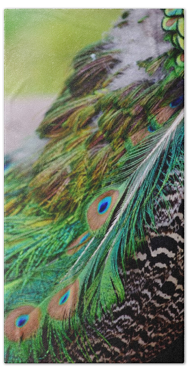 Peacock Hand Towel featuring the photograph Peacock by Nicole Lloyd