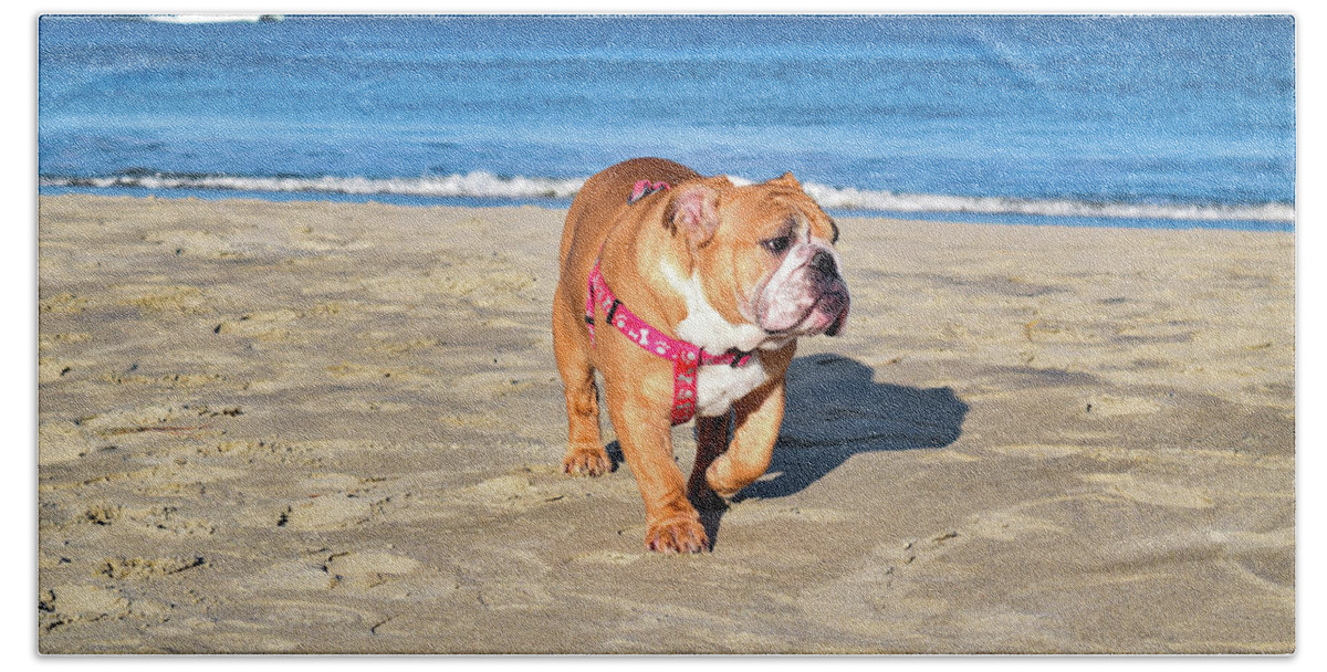 Ocean Bath Towel featuring the photograph Peanut on the Beach by Nicole Lloyd