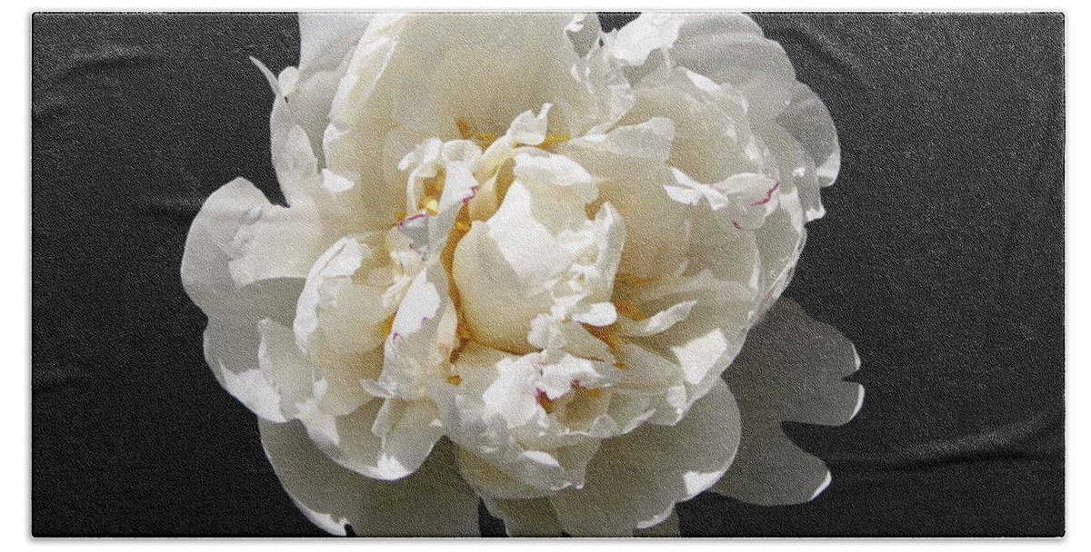 Flower Hand Towel featuring the photograph Peekaboo Peony by Mary Ellen Mueller Legault