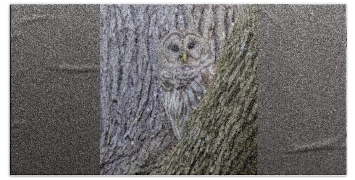 Barred Owl Hand Towel featuring the photograph Peekaboo by R Allen Swezey