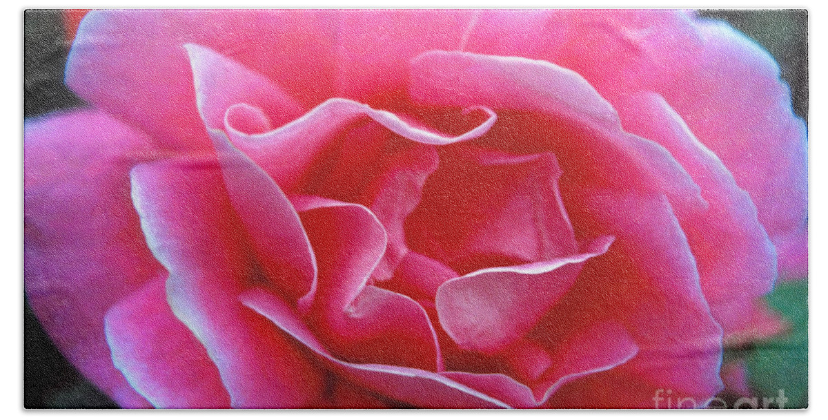 Peggy Lee Rose Bath Towel featuring the photograph Peggy Lee Rose Bridal Pink by David Zanzinger