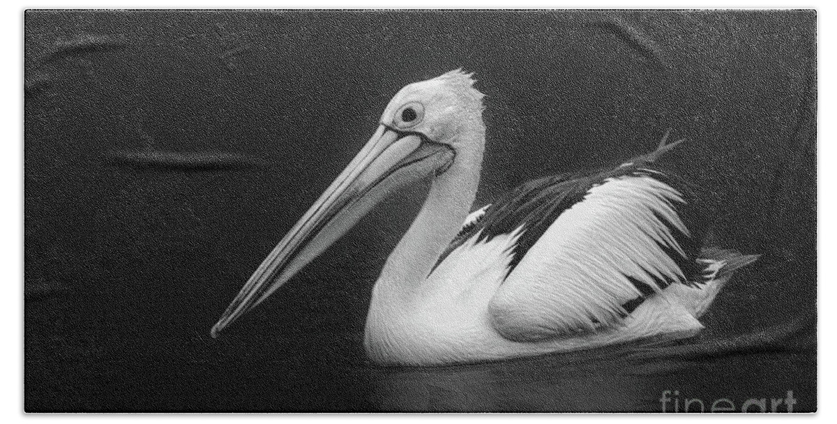 Bird Bath Towel featuring the photograph Pelican 2 by Charuhas Images