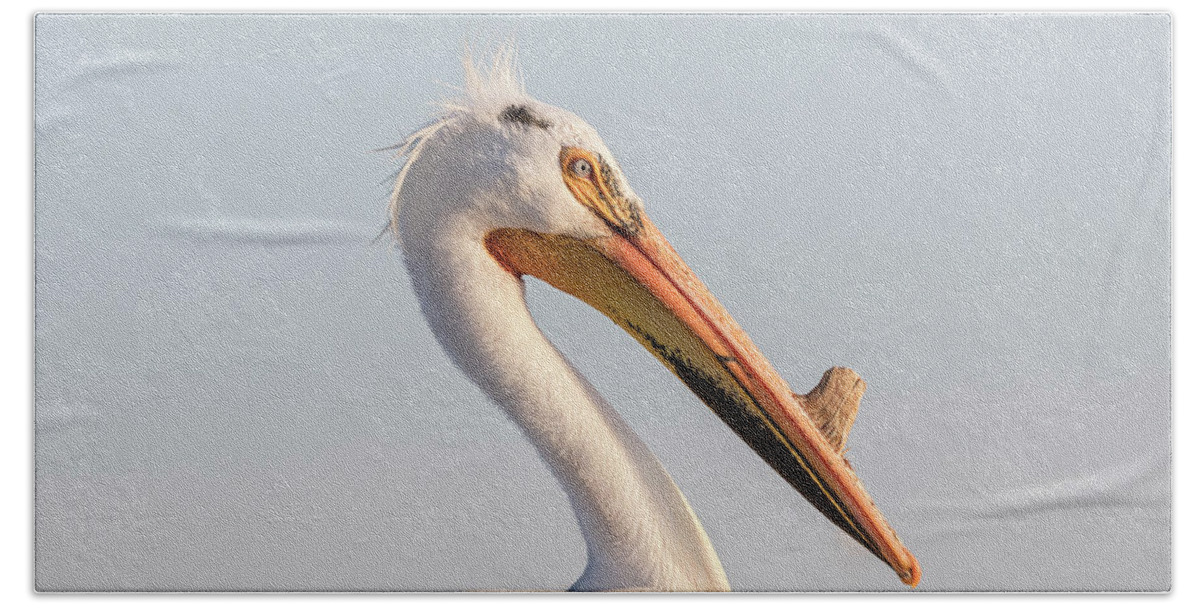 American White Pelican Bath Towel featuring the photograph Pelican 2017-2 by Thomas Young