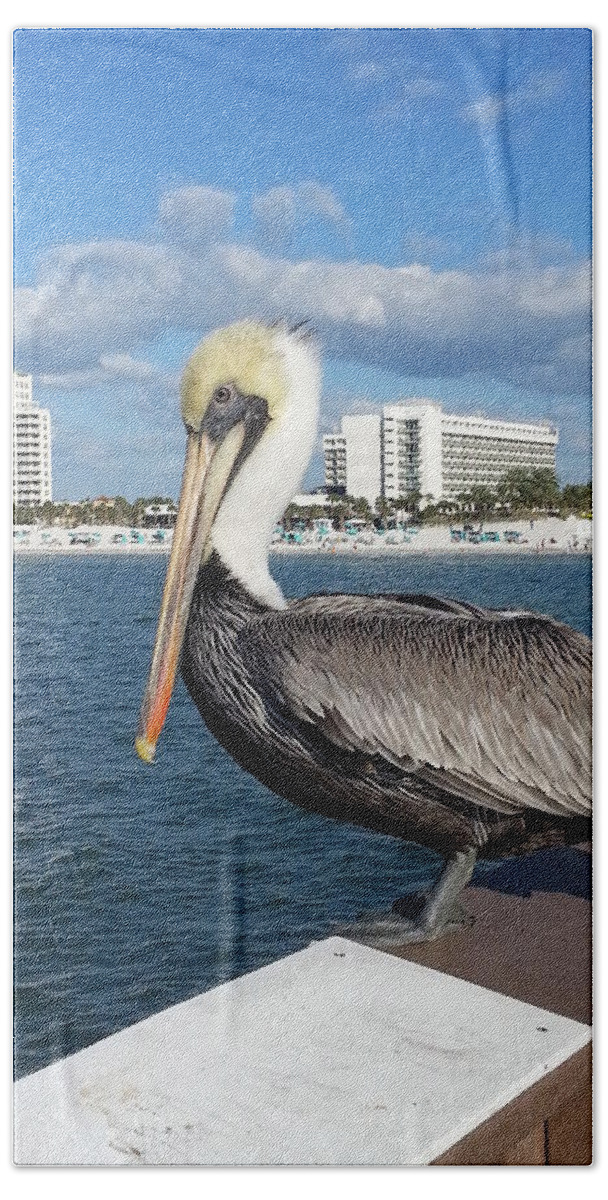 Water Bath Towel featuring the photograph Pelican -Florida by Adrian De Leon Art and Photography