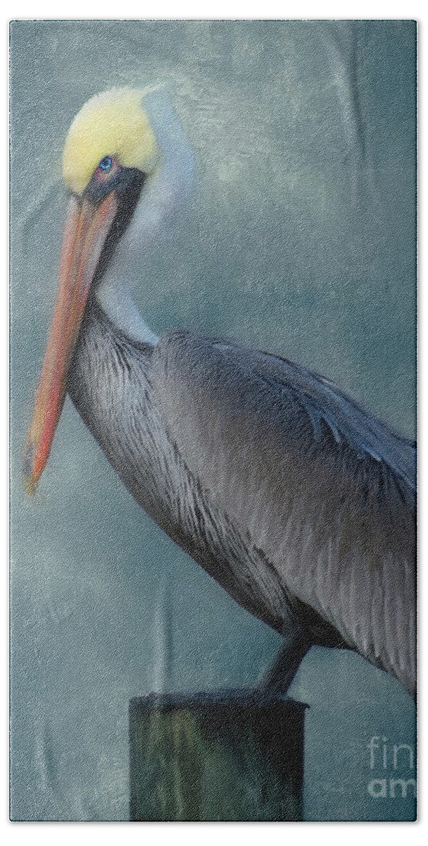 Pelican Hand Towel featuring the photograph Pelican Portrait by Benanne Stiens