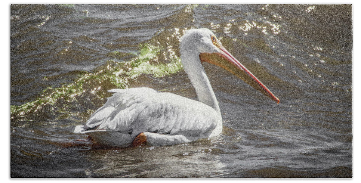 Pelican Bath Towel featuring the photograph Pelican Profile by Ray Congrove