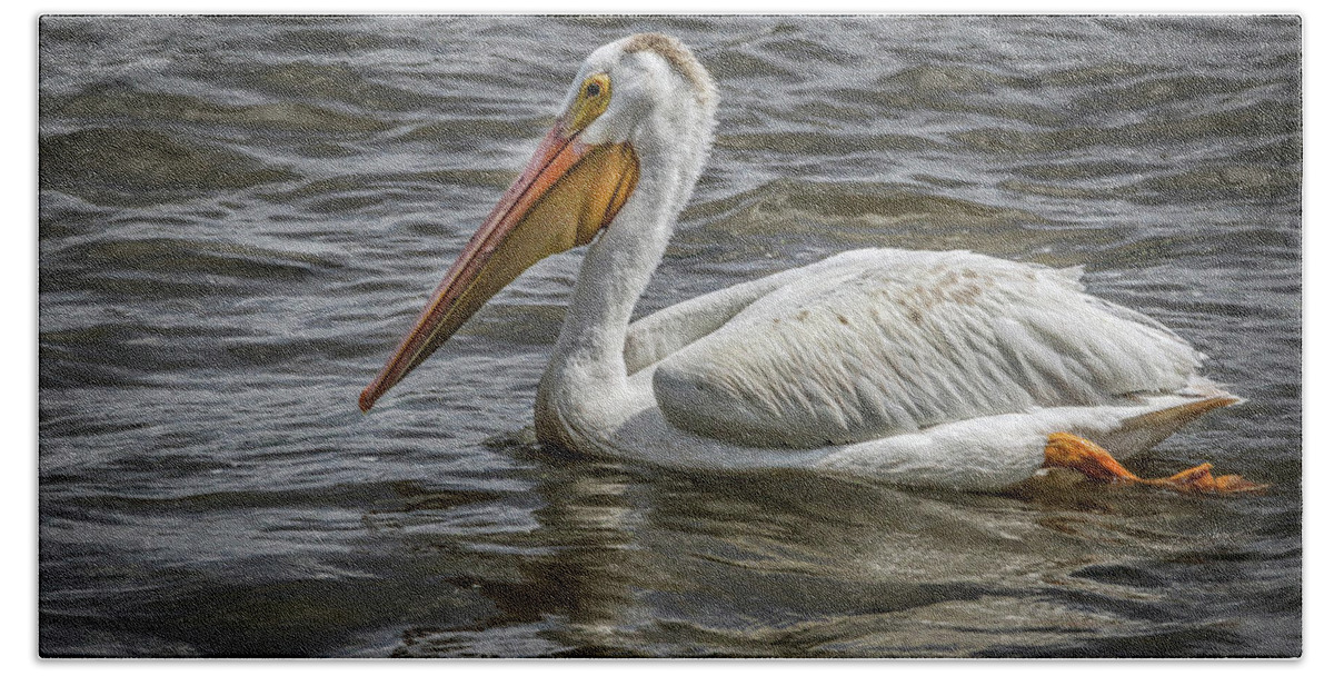 Pelican Hand Towel featuring the photograph Pelican by Ray Congrove