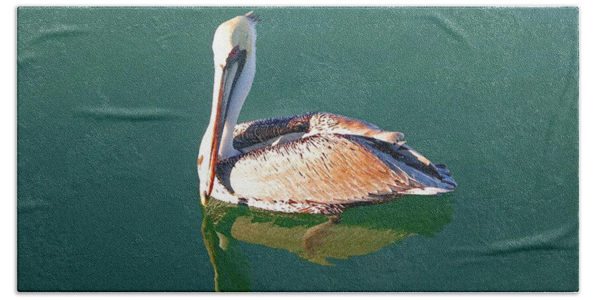 Pelican Reflection On Water Bath Towel featuring the painting Pelican Reflection by Michael Thomas