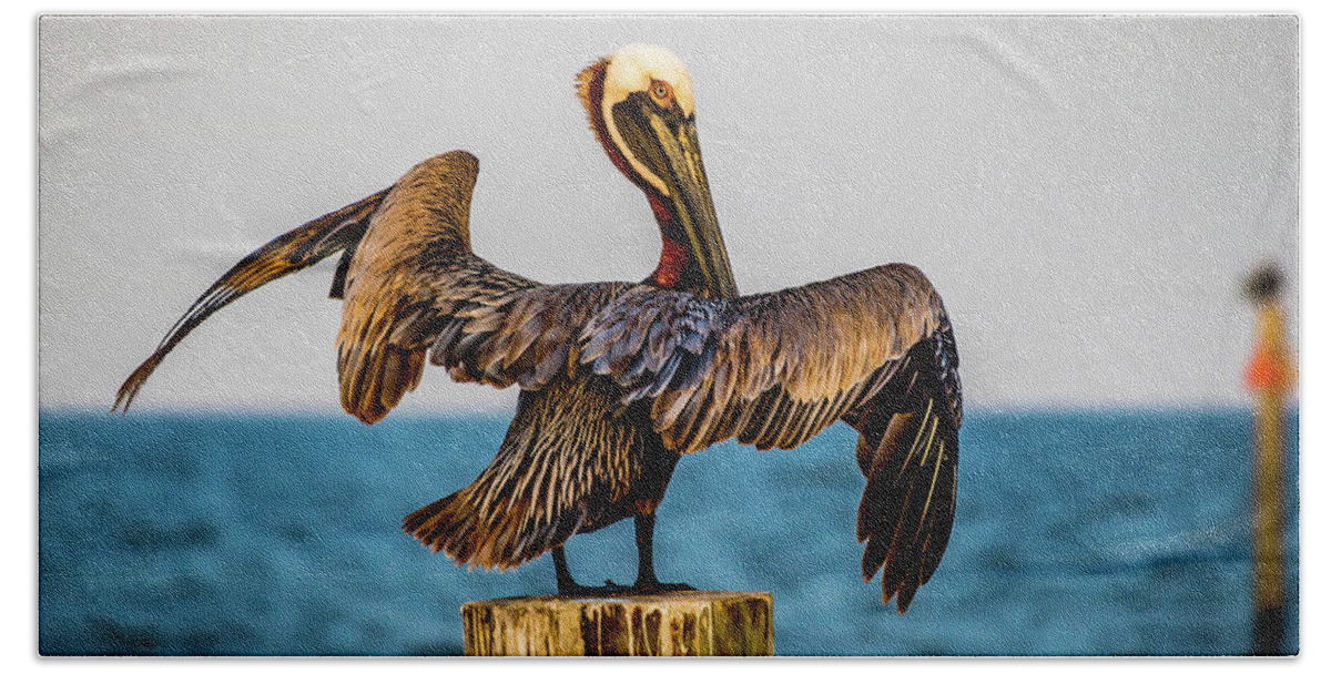 Pelican Bath Towel featuring the photograph Pelican Stand Off by JASawyer Imaging