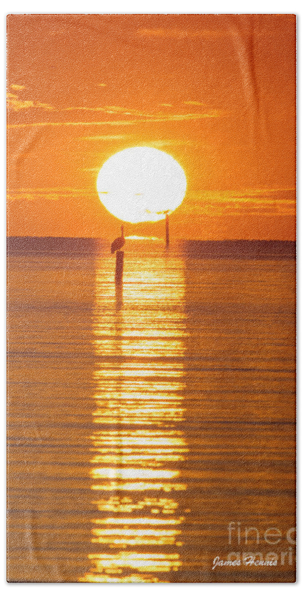 Pelicans Hand Towel featuring the photograph Pelican Sunset by Metaphor Photo